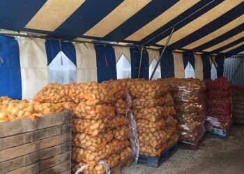 Mila : Déstockage de 400 T de pommes de terre  