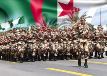 El Djeich alerte ! : L’Algérie face à des « plans malveillants » 