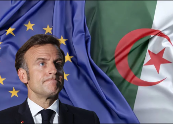 Dégradation des relations avec l’Algérie : Ce que ça coûte à la france ! 