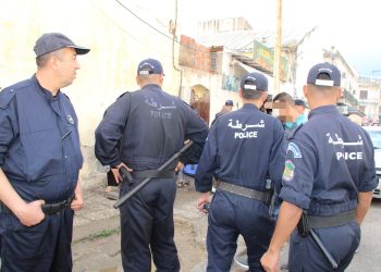 Lutte contre l’illégal à Annaba  : Plus de 550 opérations menées  