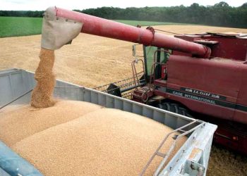 Approvisionnement en blé  : Le Kazakhstan, nouvelle source pour l’Algérie  