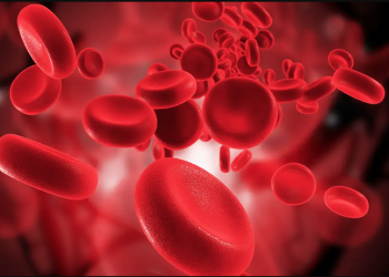 Lutte contre les hémoglobinopathies en Algérie : Des pôles spécialisés émergent à l’Est du pays