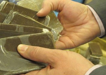 Plus de 4 kg de cannabis saisis : Un individu arrêté