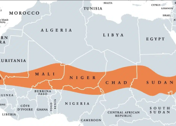 Prétendue création d’unités de mercenaires au Sahel : Le MDN dément et dénonce