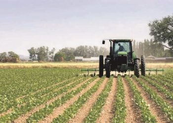 Secteur agricole de la wilaya d’Annaba : Des efforts pour optimiser les ressources