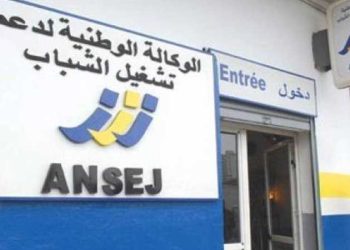 ANSEJ : Réattribution des locaux vacants de l’OPGI aux micro-entrepreneurs ? 
