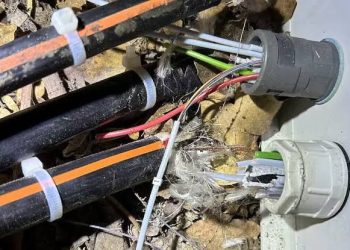 Khenchela : La fibre optique s’impose face au vandalisme  