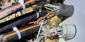 Khenchela : La fibre optique s’impose face au vandalisme