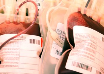 Réserves de sang à Constantine  : Le SOS des malades ! 