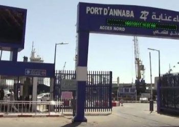 Commercialisés ce mois de  Ramadhan  : Bovins et ovins arrivent au port ! 