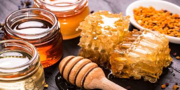 Apiculture à Biskra : 650 q de miel produits