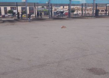 Bus, taxis et camions en grève : Annaba paralysée !  