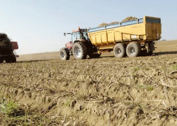 Foncier agricole à El Kalitoussa : Des éleveurs veulent des contrats de concession 