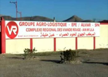 Complexe de Viande Rouge d’Aïn M’lila : Régulateur stratégique du marché local 