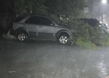 Intempéries à Annaba : Un mort et des dégâts matériels  