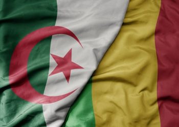 Algérie – Mali :  Vers un dégel ? 