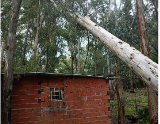 Rafales extrêmes : Les toits de fortune à la merci du vent 