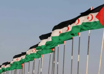 Dossier Sahara occidental : Pression à Washington, prudence à Alger  