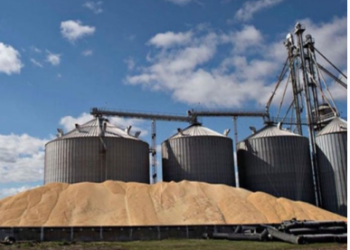 Khenchela : La capacité de stockage de céréales à 1,5 million de q 