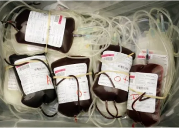 Opération « Don de sang » du FJD : 30 poches collectées durant la campagne 