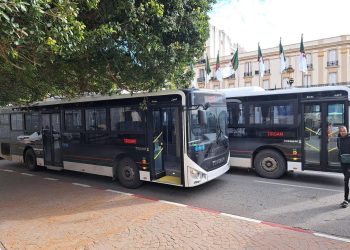Aïd El-Fitr : Mise en circulation de 50 nouveaux bus