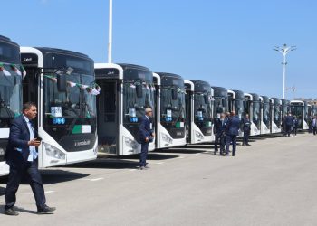 Transport public : 50 bus neufs renforcent la flotte 