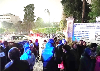 le Mapping Festival Algiers  : La preuve par le public 