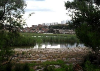 Zones humides de la wilaya d’Annaba  : Krikou s’engage à la préservation de ces écosystèmes