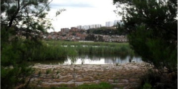 Zones humides de la wilaya d’Annaba : Krikou s’engage à la préservation de ces écosystèmes