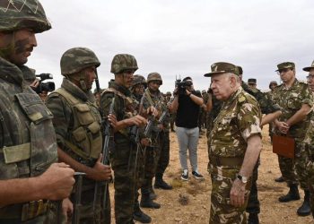 Eradication des résidus du terrorisme : Chanegriha  réaffirme la détermination de l’ANP