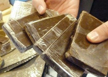 Bordj Bou-Arréridj  : Deux réseaux démantelés et 2,6 kg de kif saisis 