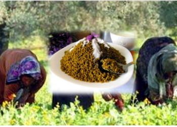 Les couscous de cueillette : Les saveurs végétales du printemps 