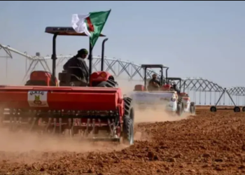 Cession du droit de concession des terres agricoles : L’ONTA convoque enfin ‘’la loi’’