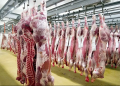 La filière viande rouge sous pression : Ce que recommande la  commission parlementaire  