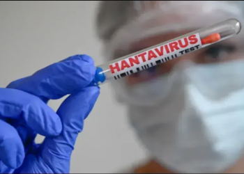 Le Hantavirus ‘’hante’’ l’Europe  : L’Algérie actionne son dispositif d’alerte sanitaire 