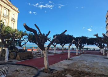 Béjaïa  :La place du 1er novembre rouvrira avant l’été