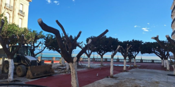 Béjaïa  :La place du 1er novembre rouvrira avant l’été