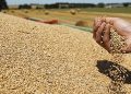 Produits agricoles, légumineuses et viandes blanches : L’attestation de TVA supprimée