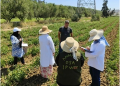 Exploitations agricoles : Les champs sous l’œil des experts