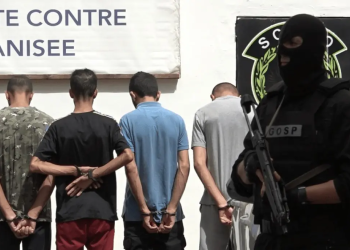 10 arrestations pour 1 000 milliards détournés  : La mafia du tabac à genoux 