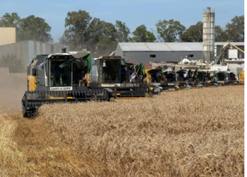 Campagne moisson-battage : La récolte lancée sur 13.209 ha 