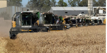 Campagne moisson-battage : La récolte lancée sur 13.209 ha