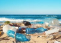 El Tarf : Le littoral sacrifié aux incivilités 