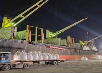 Port d’Annaba : Chargement de 38.300 T de ciment blanc  