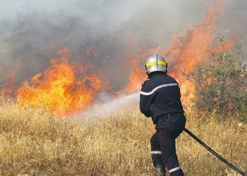 Réseau forestier  : Deux axes aménagés face aux risques d’incendie 
