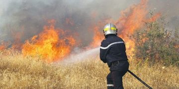 Réseau forestier  : Deux axes aménagés face aux risques d’incendie 