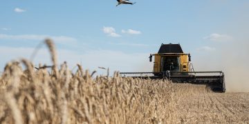 Moisson-battage à JIJEL  : Priorité aux grandes zones cultivées 