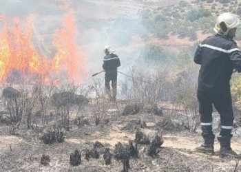 Vague de chaleur  : Deux feux en quelques heures 