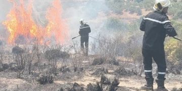 Vague de chaleur  : Deux feux en quelques heures 