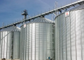 Tébessa : Trois nouveaux centres de stockage des céréales mis en service